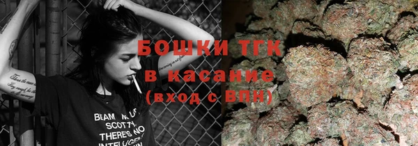 шишки Алексин