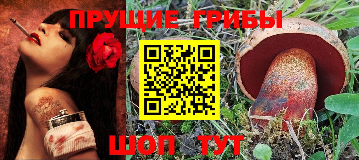Галлюциногенные грибы Psilocybine cubensis Углич
